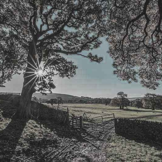 Quinta Pedagógica Quinta Pedagógica